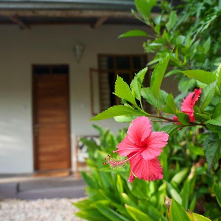 Kendwa Breeze Bungalows المظهر الخارجي الصورة
