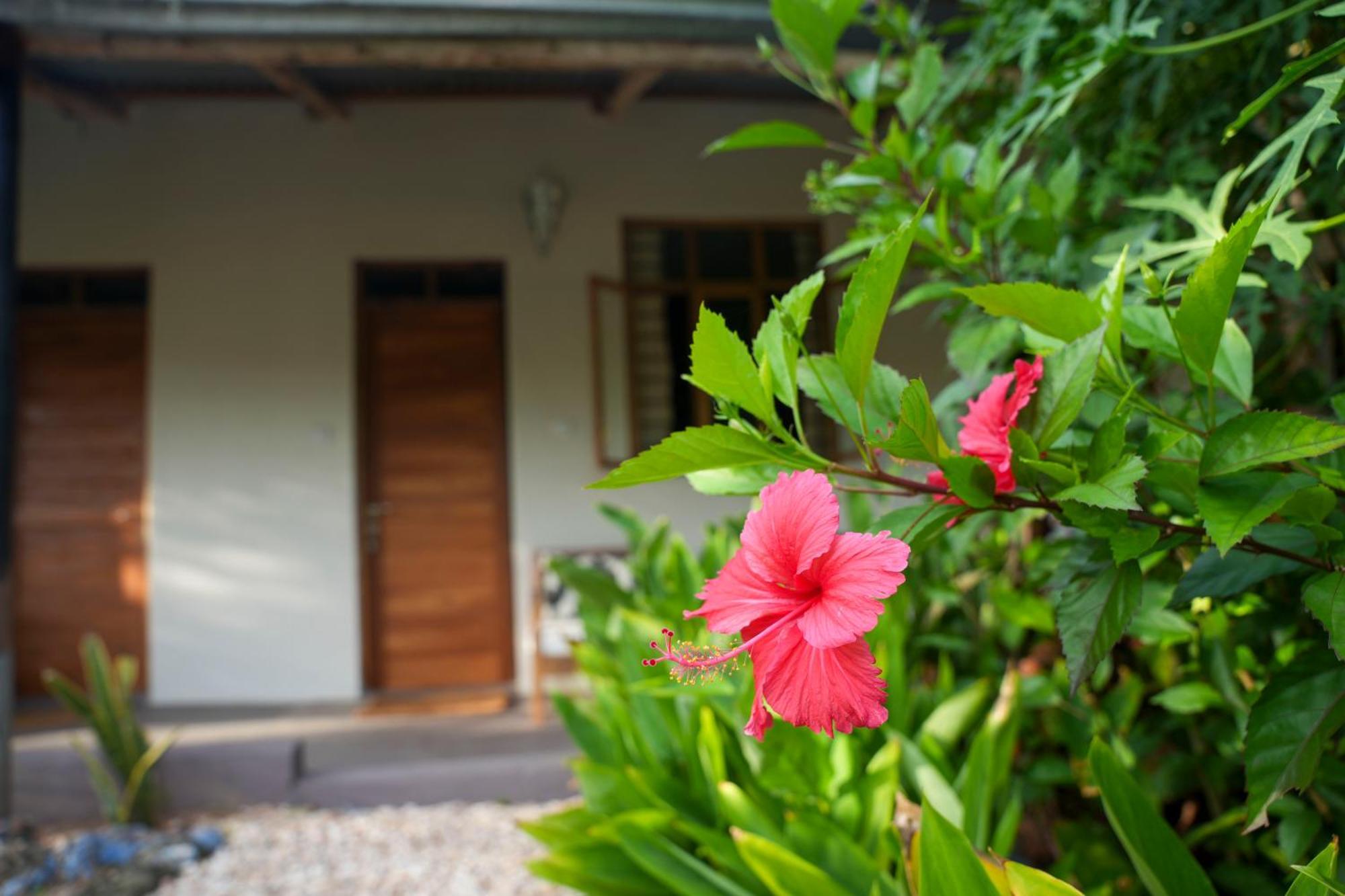 Kendwa Breeze Bungalows المظهر الخارجي الصورة