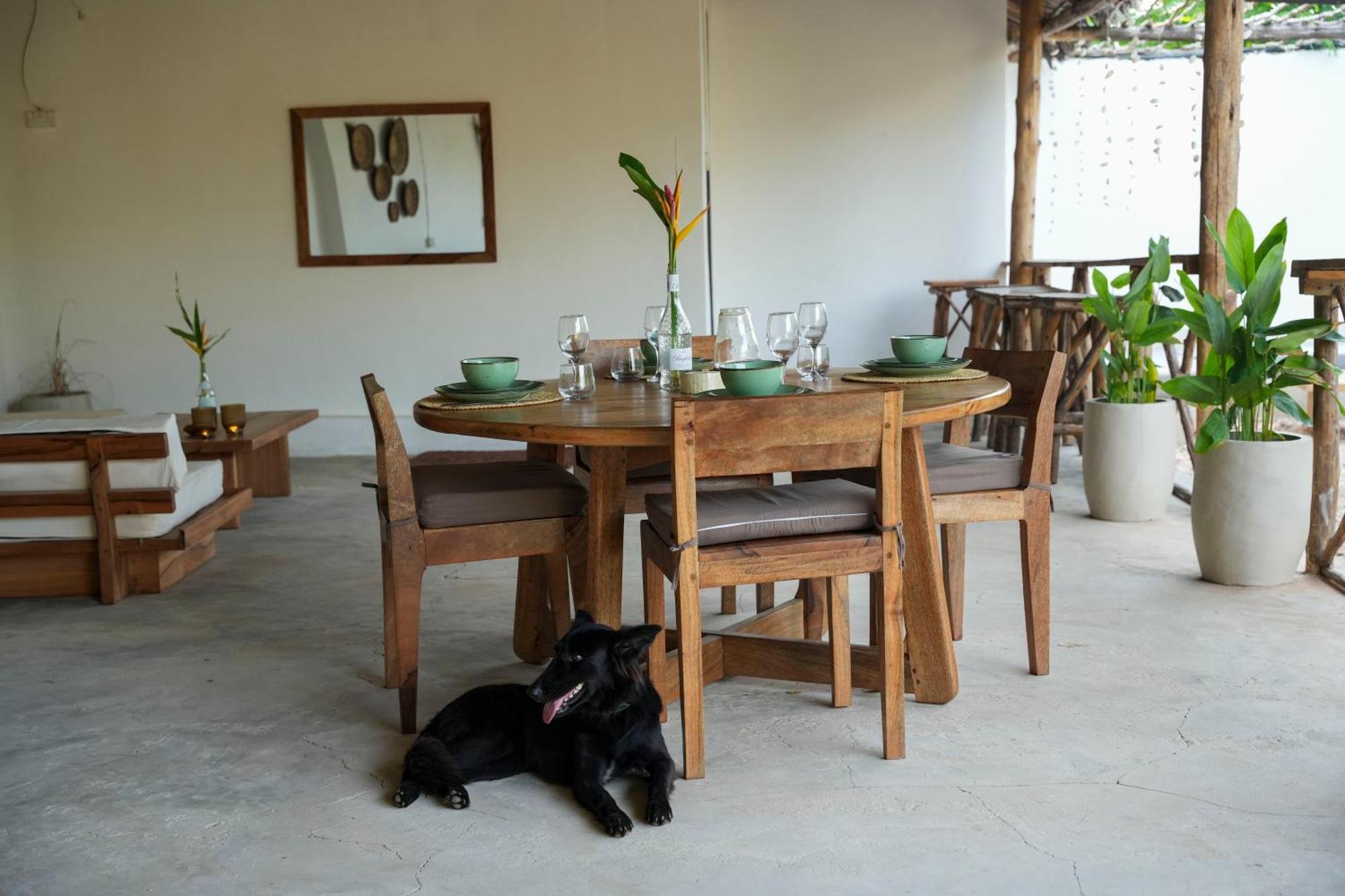 Kendwa Breeze Bungalows المظهر الخارجي الصورة